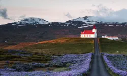 Featured image of post 记一次CSS样式异常排查