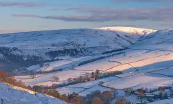 Featured image of post 料理包评测记录